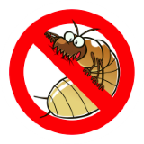 Termite Control